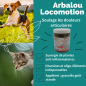 ARBALOU LOCOMOTION CHAT