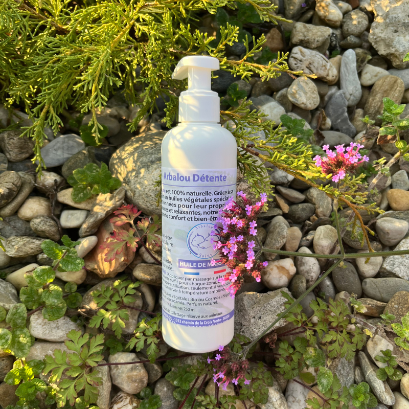 Arbalou Détente Chat