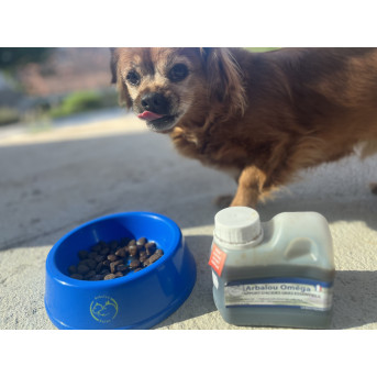 ARBALOU OMÉGA CHIEN ET CHAT