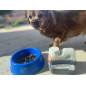 ARBALOU OMÉGA CHIEN ET CHAT