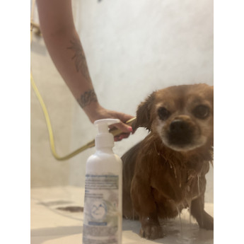 ARBALOU SHAMPOING CALMANT CHIEN