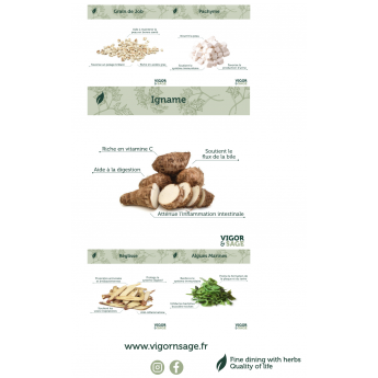 Croquette Chien Poisson hypoallergénique