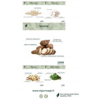 Croquette Chien Poisson hypoallergénique