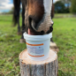 ARBALOU DIGEST +