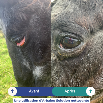 Collyre yeux cheval - La boutique de l'Arbalou