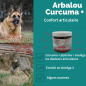 ARBALOU CURCUMA + CHIEN
