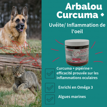 Arbalou Curcuma + pour chien - La boutique de l'Arbalou
