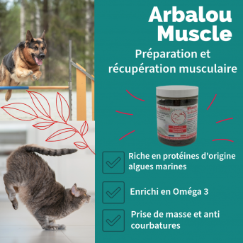 Oméga chien - La boutique de l'Arbalou