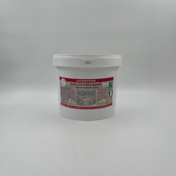 Myosites et coup de sang cheval