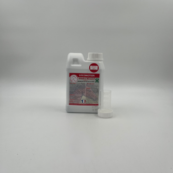 Myosites et coup de sang cheval