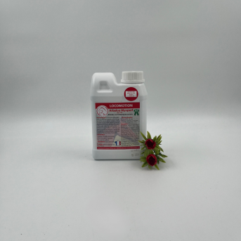 Soutien musculaire cheval - La boutique de l'Arbalou