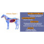 ARBALOU DIGEST +