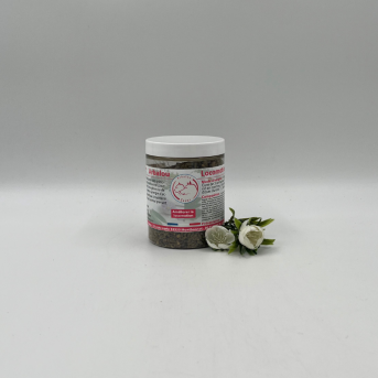 ARBALOU LOCOMOTION CHAT