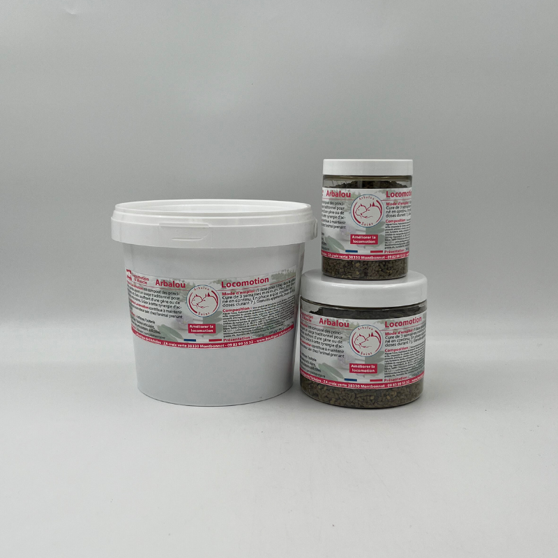 ARBALOU LOCOMOTION CHIEN