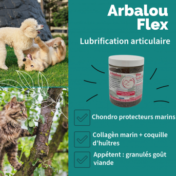 dog osteoarthritis product - natural dog chondroprotector