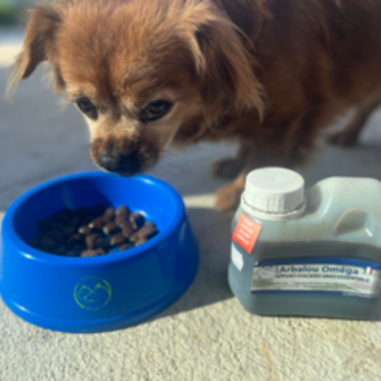 ARBALOU OMÉGA CHIEN