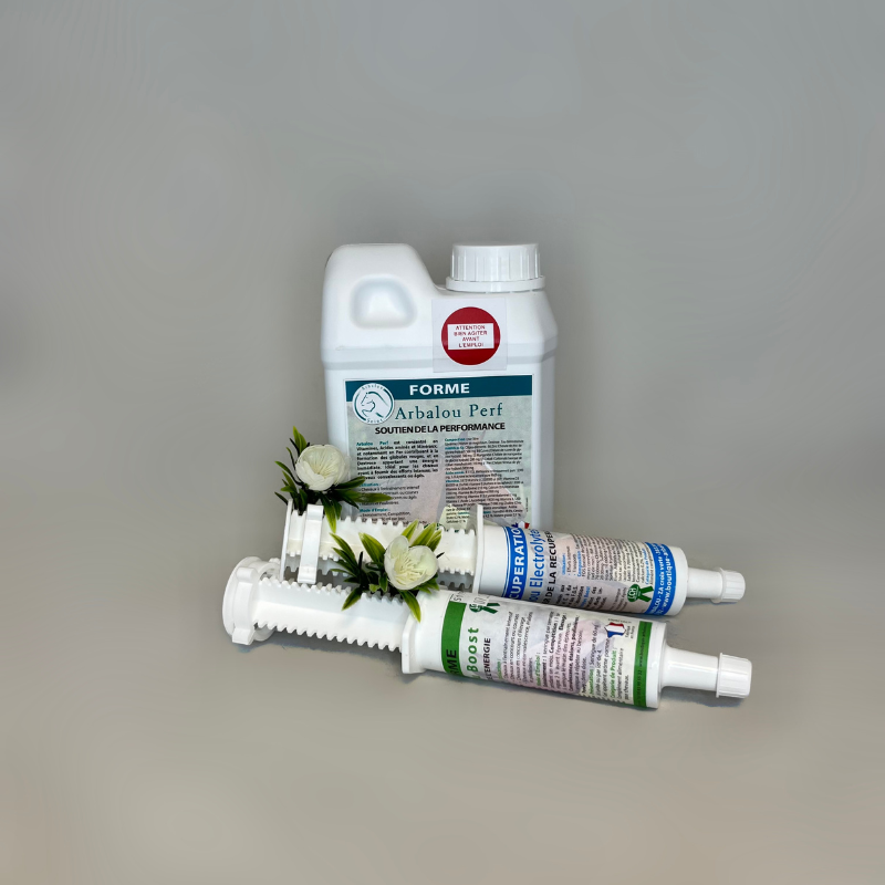 Arbalou Pack Prep Forme