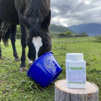 Traitement naturel toux cheval - Emphysème cheval -
