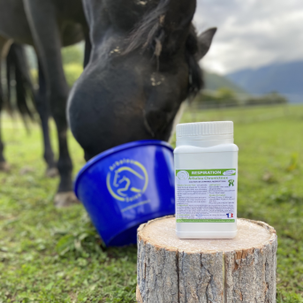 Cure produit toux cheval - La boutique de l'Arbalou
