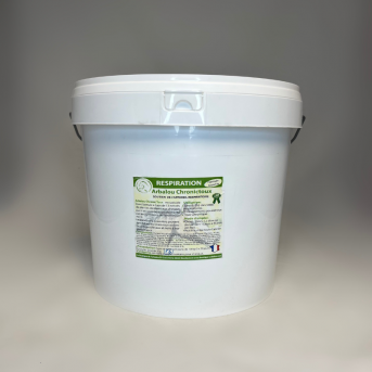 Plante emphysème cheval  - La boutique de l'Arbalou