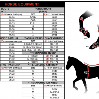 Arthrose du jarret cheval - La boutique de l'Arbalou