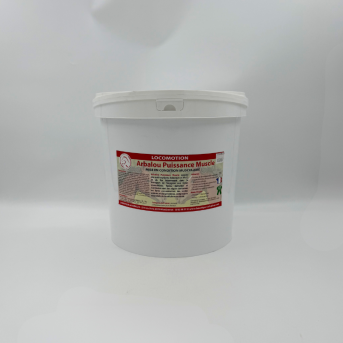 Prise de masse cheval  - La boutique de l'Arbalou