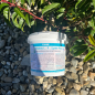 Arbalou L.P – Equine Immune Support Supplement
