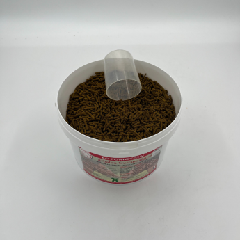 ARBALOU CURCUMALGUES UVEITE CHEVAL