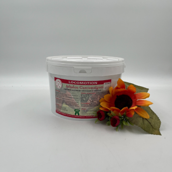curcuma cheval - produit uvéite cheval - arbalou soins cheval