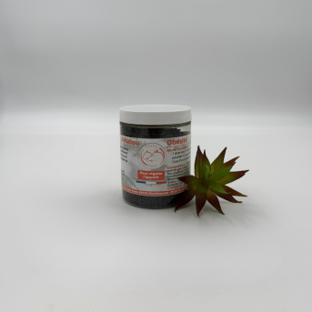 ARBALOU OBESITE CHIEN