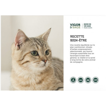 Vigor & Sage Chat Senior