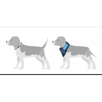 bandana rafraichissant chien - accessoire rafraichissant chien - la…