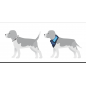 Cool on Track - Bandana rafraîchissant Chien Cool on Track - Bandana rafraîchissant Chien