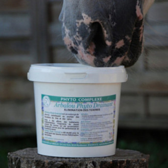 Horse Detox, Toxin Elimination – La Boutique de l’Arbalou