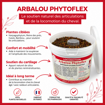 ARBALOU PHYTOFLEX - Plantes articulations cheval