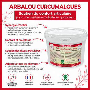 ARBALOU CURCUMALGUES