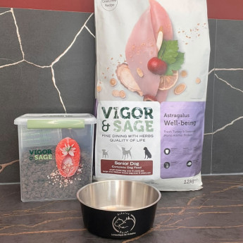 Vigor and Sage Chien Senior