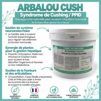 ARBALOU CUSH