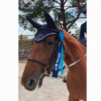 bonnet poney - bonnet cheval - bonnet anti mouches - bonnet concours cheval