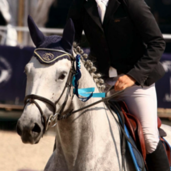 bonnet cheval - bonnet concours équitation - bonnet chasse mouches - bonnet anti mouches