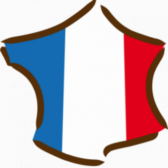 fabrication française  Arbalou Choc coup et courbatures chevaux  arbalou soins  traumassedyl  traumassedyl cheval  traumassedyl