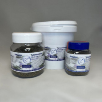 harpagophytum pour chien posologie _ harpagophytum chien pharmacie _ harpagophytum chien effets secondaires _ harpagophytum