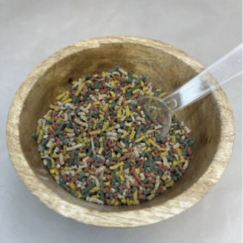 vitamines chien fatigué meilleur complément alimentaire pour chien vitamine humain pour chien vitamine pour chien âgé