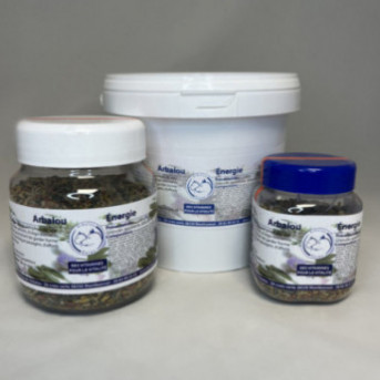 vitamine pour chien naturel  vitamine pour chien en pharmacie  multivitamines et minéraux pour chiens