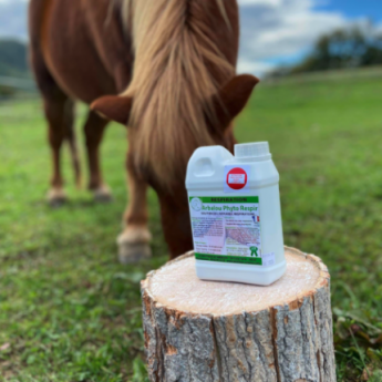 cheval emphysème traitement naturel - huile essentielle emphysème cheval - emphysème cheval - emphysème cheval plantes -