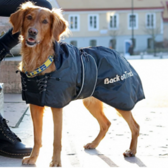 BACK ON TRACK Manteau Standard Chien