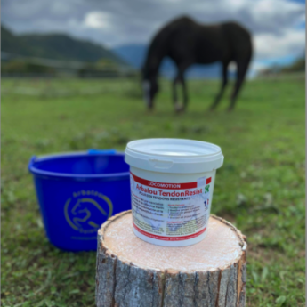 complément tendinite cheval - plante tendinite cheval - Arbalou Soins