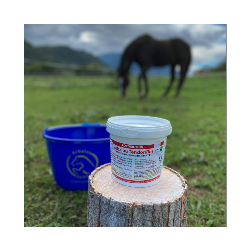 ARBALOU TENDONRESIST