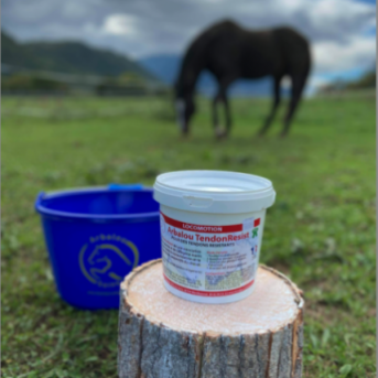 complément tendinite cheval - plante tendinite cheval - Arbalou Soins