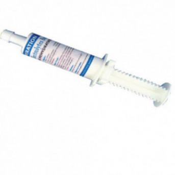 électrolytes seringue cheval